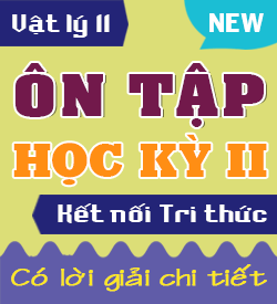 Ôn tập Học kỳ II (KNTT_11)